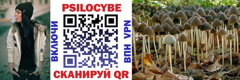 закладки  ссылка на мегу вход  Галлюциногенные грибы Cubensis  Нариманов 